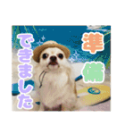 かんなといっしょ！！（個別スタンプ：29）