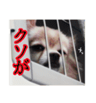 かんなといっしょ！！（個別スタンプ：30）