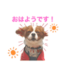 のあえま劇場2（個別スタンプ：10）