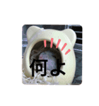 ちびハムちゃん5（個別スタンプ：3）