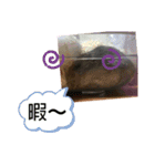 ちびハムちゃん5（個別スタンプ：14）
