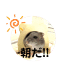 ちびハムちゃん5（個別スタンプ：16）