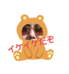 Bear33333（個別スタンプ：5）