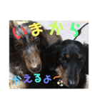 ライム❤️タイガ（個別スタンプ：6）