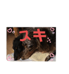 ライム❤️タイガ（個別スタンプ：9）