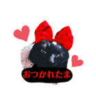 黒猫ルナちゃんスタンプ（個別スタンプ：4）