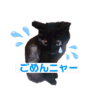 黒猫ルナちゃんスタンプ（個別スタンプ：6）