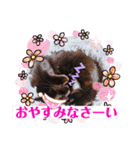 黒猫ルナちゃんスタンプ（個別スタンプ：7）