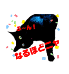 黒猫ルナちゃんスタンプ（個別スタンプ：13）