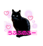 黒猫ルナちゃんスタンプ（個別スタンプ：15）
