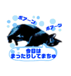 黒猫ルナちゃんスタンプ（個別スタンプ：16）