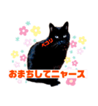 黒猫ルナちゃんスタンプ（個別スタンプ：20）