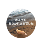 ももさんとぴー（個別スタンプ：7）
