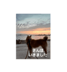 ももさんとぴー（個別スタンプ：8）