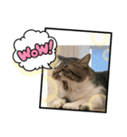 みいとぅん2の2（個別スタンプ：1）