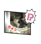 みいとぅん2の2（個別スタンプ：2）