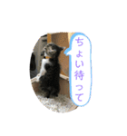 みいとぅん2の2（個別スタンプ：3）