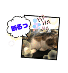 みいとぅん2の2（個別スタンプ：4）