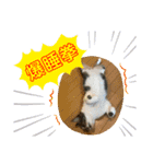 みいとぅん2の2（個別スタンプ：6）
