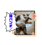 みいとぅん2の2（個別スタンプ：7）