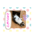 みいとぅん2の2（個別スタンプ：8）