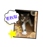 みいとぅん2の2（個別スタンプ：9）