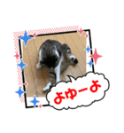 みいとぅん2の2（個別スタンプ：10）