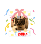 みいとぅん2の2（個別スタンプ：14）