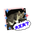 みいとぅん2の2（個別スタンプ：15）