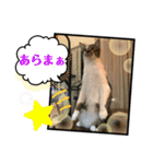 みいとぅん2の2（個別スタンプ：16）