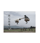 新米旦那三人衆（個別スタンプ：18）