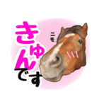 エルカバおうまスタンプ(改)（個別スタンプ：5）