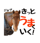 エルカバおうまスタンプ(改)（個別スタンプ：9）