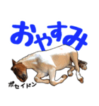 エルカバおうまスタンプ(改)（個別スタンプ：12）
