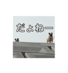 うづら倶楽部・ツー（個別スタンプ：3）
