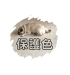 うづら倶楽部・ツー（個別スタンプ：10）