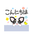 ちわわフレンズ（個別スタンプ：2）