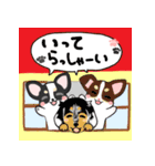 ちわわフレンズ（個別スタンプ：15）