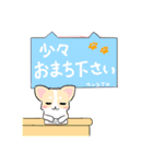 ちわわフレンズ（個別スタンプ：25）