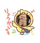 ティーちゃん3（個別スタンプ：2）