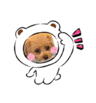 ティーちゃん3（個別スタンプ：3）