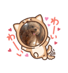 ティーちゃん3（個別スタンプ：6）