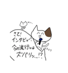 何も知らないねこ（個別スタンプ：10）