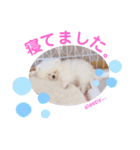 おら。シラス丼。（個別スタンプ：3）