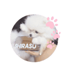 おら。シラス丼。（個別スタンプ：4）