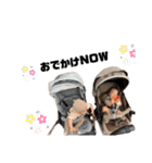 S＆K 仲良しスタンプ（個別スタンプ：31）