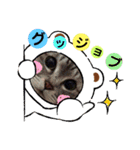 にゃんこスタンプ(日常会話？)（個別スタンプ：3）