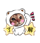 にゃんこスタンプ(日常会話？)（個別スタンプ：4）