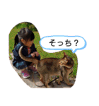 にゃんこスタンプ(日常会話？)（個別スタンプ：21）
