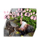 にゃんこスタンプ(日常会話？)（個別スタンプ：24）